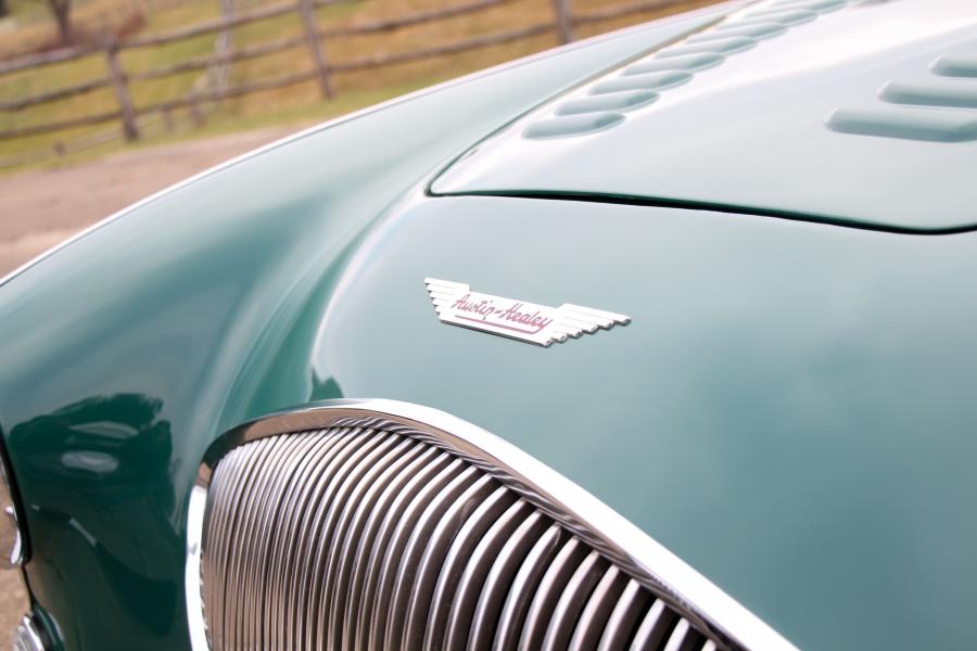 Детали экстерьера Austin-Healey 100 (BN1) 1953 года  (фото 29 из 36)
